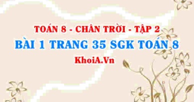 Bài 1 trang 35 Toán 8 Chân trời sáng tạo Tập 2